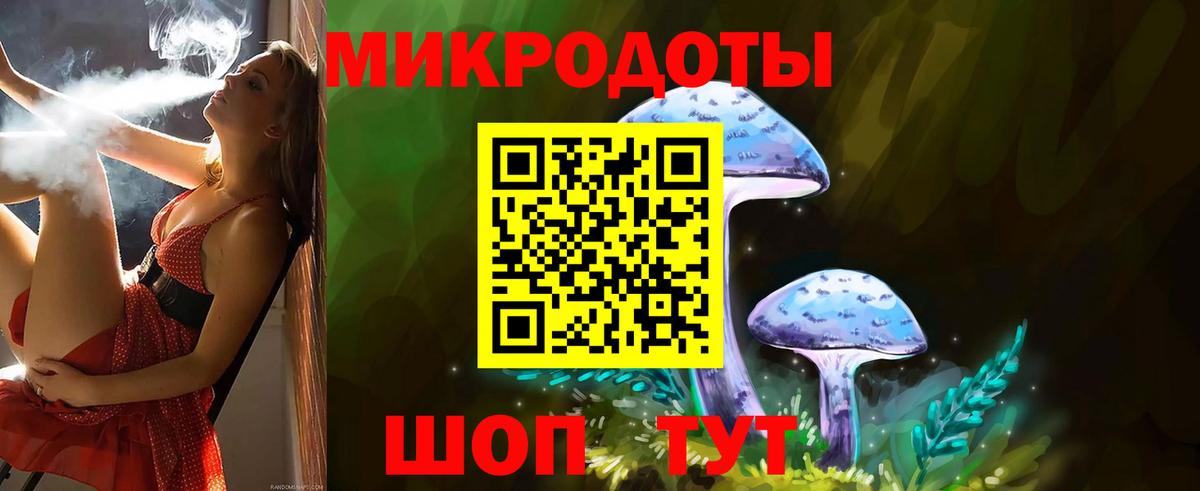 Железногорск  Псилоцибиновые грибы мухоморы  купить наркоту  Псилоцибиновые грибы ЛСД  Вход с VPN 